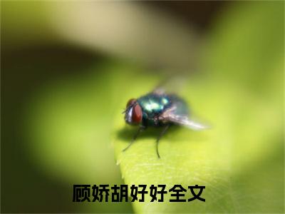 顾娇胡好好（顾娇胡好好）全文免费阅读无弹窗大结局_(顾娇胡好好最新章节在线阅读)_笔趣阁