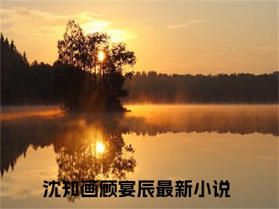 沈知画顾宴辰全文免费阅读无弹窗大结局_（沈知画顾宴辰小说）沈知画顾宴辰在线免费阅读