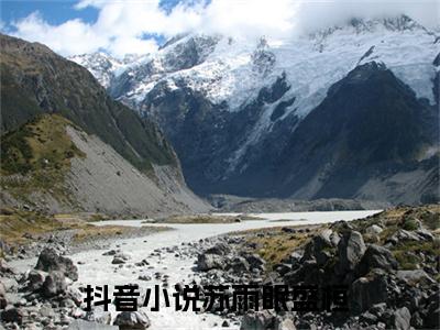 苏雨眠盛桓精彩章节免费阅读_苏雨眠盛桓抖音热推小说最新章节阅读