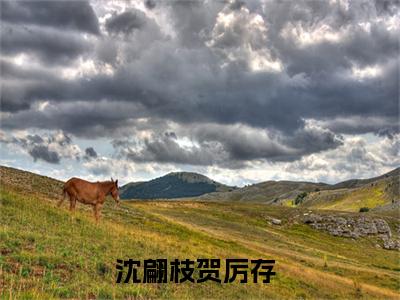 沈翩枝贺厉存（沈翩枝贺厉存）最后结局如何-最火热点小说沈翩枝贺厉存最新更新