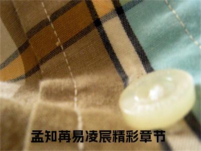 孟知苒易凌宸新上精彩热文小说全文-孟知苒易凌宸完整版全文在线赏析