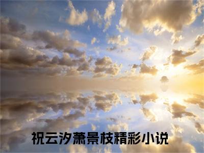 祝云汐萧景枝后续+番外（祝云汐萧景枝）全文免费阅读无弹窗大结局_祝云汐萧景枝最新章节列表_笔趣阁（祝云汐萧景枝后续+番外）