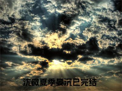 沈微夏季晏沉(沈微夏季晏沉小说)全文免费阅读无弹窗大结局_沈微夏季晏沉小说免费阅读最新章节列表_笔趣阁（沈微夏季晏沉小说）