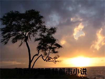 （沈芮汐裴景林）是什么小说-沈芮汐裴景林（沈芮汐裴景林）免费阅读大结局最新章节列表_笔趣阁