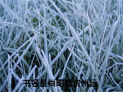 肖昭雪沈州远全本资源免费阅读结局无删节主角：肖昭雪沈州远小说全文阅读无弹窗