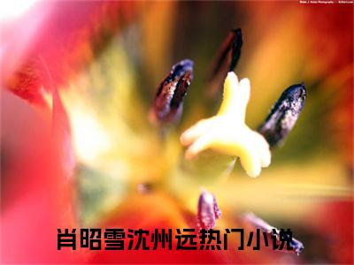 肖昭雪沈州远最新章节（肖昭雪沈州远全文+后续）全文免费阅读无弹窗大结局_肖昭雪沈州远全文+后续免费阅读（肖昭雪沈州远）