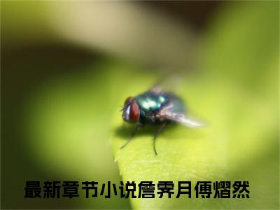 詹霁月傅熠然是什么小说-（詹霁月傅熠然）小说全文阅读