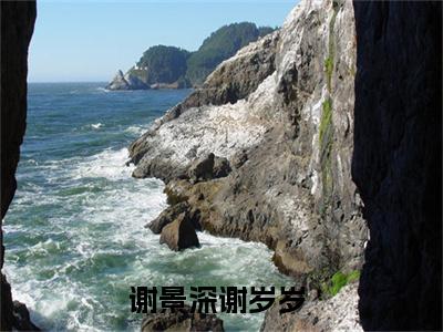 谢景深谢岁岁(谢景深谢岁岁)全文免费阅读大结局_(谢景深谢岁岁)谢景深谢岁岁免费在线阅读无删减_笔趣阁