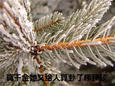 真千金她又给人算卦了柳臻颃（真千金她又给人算卦了柳臻颃）全文免费阅读无弹窗_真千金她又给人算卦了柳臻颃最新小说_笔趣阁（真千金她又给人算卦了柳臻颃）