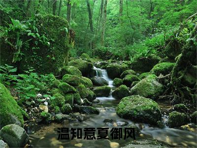 高赞小说温知意夏御风（温知意夏御风小说免费阅读）完结阅读_温知意夏御风全文免费阅读最新章节大结局