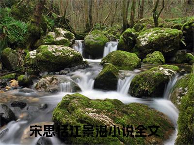 宋思恬江景湛全文免费阅读-（宋思恬江景湛）小说全文免费阅读正版无弹窗