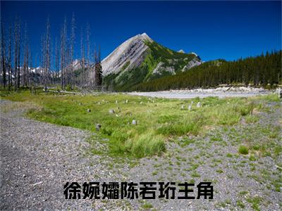 徐婉孀陈若珩（徐婉孀陈若珩）全文免费阅读大结局-（徐婉孀陈若珩）结局免费阅读