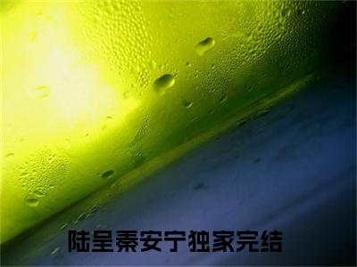 陆呈秦安宁小说（陆呈秦安宁）全文免费阅读无弹窗大结局_（陆呈秦安宁）陆呈秦安宁小说免费阅读无弹窗最新章节列表_笔趣阁（陆呈秦安宁）