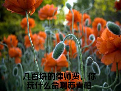 几百块的律师费，你玩什么命啊苏青柏（几百块的律师费，你玩什么命啊苏青柏）全文免费阅读大结局-（几百块的律师费，你玩什么命啊苏青柏）结局免费阅读