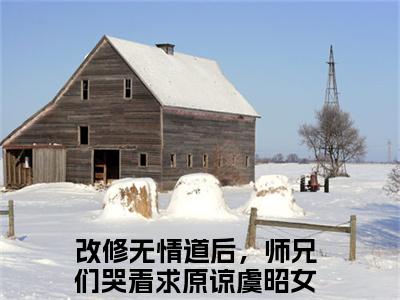 改修无情道后，师兄们哭着求原谅虞昭全文免费阅读无弹窗大结局-（改修无情道后，师兄们哭着求原谅虞昭）免费阅读无弹窗最新章节列表-笔趣阁