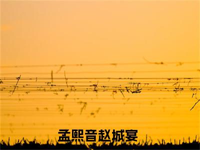 《孟熙音赵城宴》全文免费阅读最新章节大结局-孟熙音赵城宴 全文全章节免费阅读