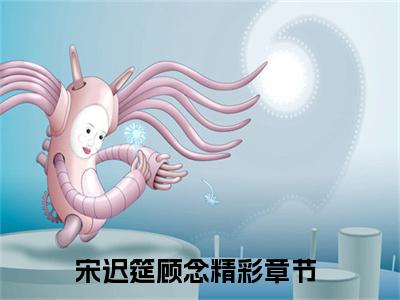 宋迟筵顾念全文小说-宋迟筵顾念小说最新章节免费阅读