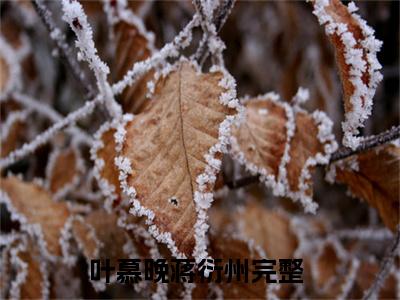 叶慕晚蒋衍州全文全文免费阅读_（叶慕晚蒋衍州免费阅读无弹窗）叶慕晚蒋衍州全文最新章节列表笔趣阁（叶慕晚蒋衍州）