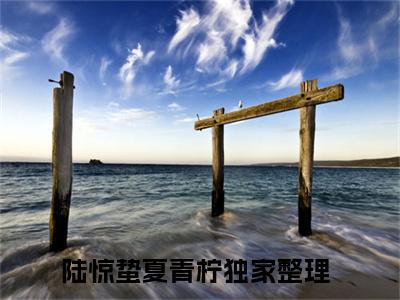 陆惊蛰夏青柠（陆惊蛰夏青柠）小说全文免费阅读无弹窗-陆惊蛰夏青柠小说全文免费阅读大结局笔趣阁