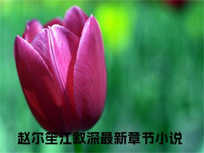 赵尔笙江叙深抖音完结版阅读《赵尔笙江叙深抖音》最新章节目录好书推荐_(赵尔笙江叙深)