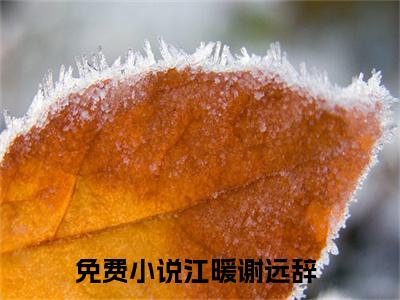 江暖谢远辞无弹窗最新章节列表_笔趣阁