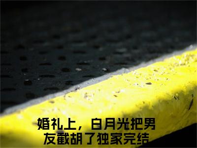 （婚礼上，白月光把男友截胡了）全文免费阅读无弹窗大结局_沈矜陈槿之最新章节列表_笔趣阁