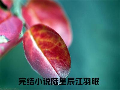 陆星辰江羽眠（陆星辰江羽眠）小说全文免费阅读正版无弹窗 陆星辰江羽眠全文无弹窗阅读