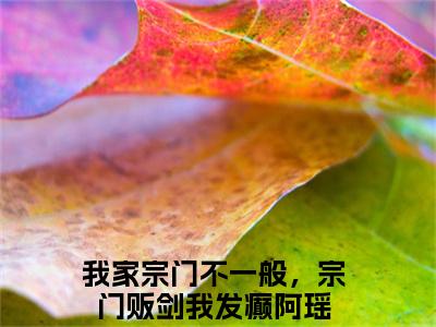 我家宗门不一般，宗门贩剑我发癫阿瑶小说（我家宗门不一般，宗门贩剑我发癫阿瑶）全文免费阅读无弹窗_我家宗门不一般，宗门贩剑我发癫阿瑶全文免费阅读无弹窗最新章节列表笔趣阁