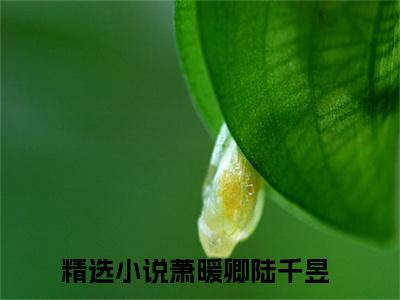 萧暖卿陆千昱小说好看吗-萧暖卿陆千昱最后结局如何（萧暖卿陆千昱）在线赏析全文