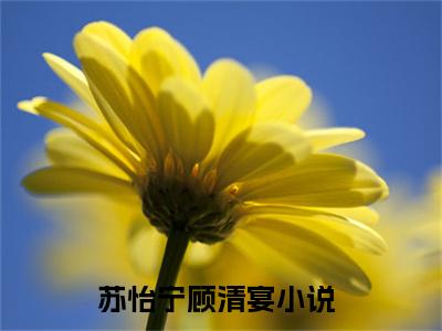 苏怡宁顾清宴(苏怡宁顾清宴)全文免费最新章节阅读_(苏怡宁顾清宴)全章节免费在线阅读_笔趣阁（苏怡宁顾清宴）