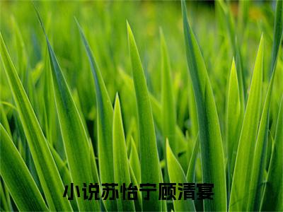 苏怡宁顾清宴全文最新章节（苏怡宁顾清宴）全文免费阅读无弹窗大结局_苏怡宁顾清宴免费阅读（苏怡宁顾清宴全文）