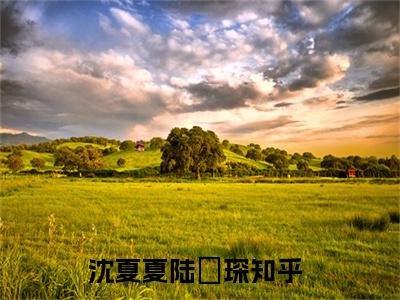 沈夏夏陆璟琛的小说全文免费阅读无弹窗大结局-《沈夏夏陆璟琛》完整章节阅读