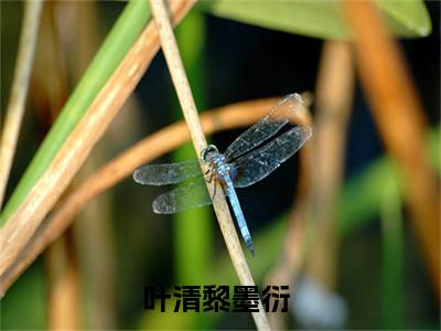 叶清黎墨衍小说最新章节试读_叶清黎墨衍是(叶清黎墨衍)小说主角热门推荐_笔趣阁