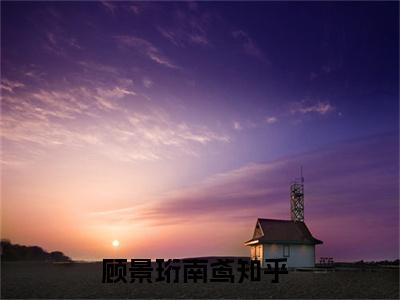 顾景珩南鸢免费小说 顾景珩南鸢在线小说免费阅读目录