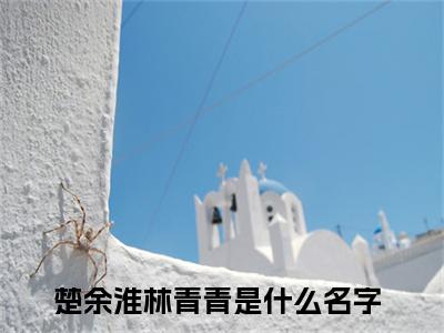 楚余淮林青青主角是楚余淮林青青全文免费阅读无弹窗-楚余淮林青青最新章节列表-笔趣阁