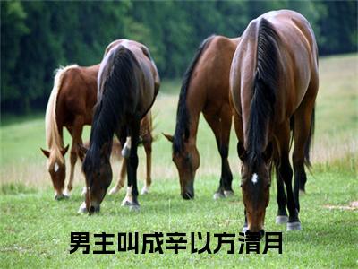 成辛以方清月（成辛以方清月）小说全文完结版免费阅读