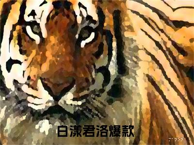 （白漾君洛）小说在线阅读-热文白漾君洛小说全文阅读