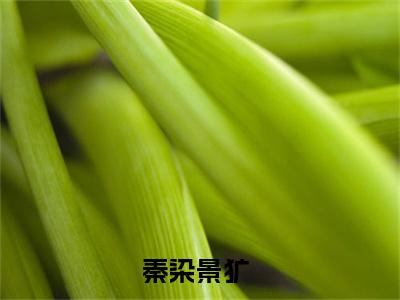 秦染景犷全文免费大结局-秦染景犷（秦染景犷）结局在线阅读