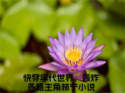 主角叫快穿年代世界，轰炸各路主角林宁的小说-《快穿年代世界，轰炸各路主角林宁》快穿年代世界，轰炸各路主角林宁最新章节在线阅读