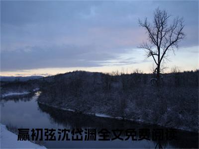 赢初弦沈岱渊的小说(赢初弦沈岱渊)最新章节全文免费阅读_笔趣阁