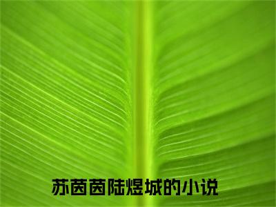 苏茵茵陆煜城（苏茵茵陆煜城）免费阅读全本资源-热门新书苏茵茵陆煜城在线阅读