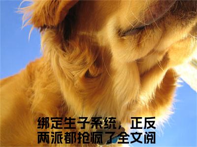 抖音高赞小说洛寒珊在线阅读绑定生子系统，正反两派都抢疯了新上现代言情小说推荐