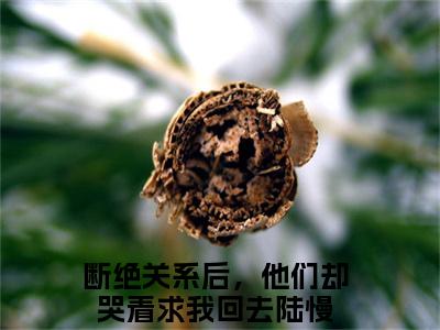 断绝关系后，他们却哭着求我回去（陆慢）全文在线免费阅读无弹窗_断绝关系后，他们却哭着求我回去最新章节列表_笔趣阁