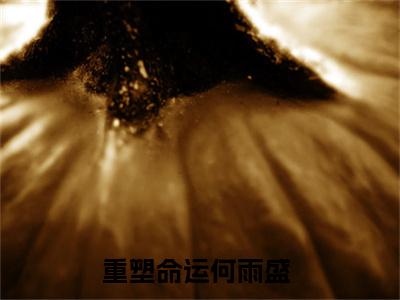 重塑命运何雨盛（重塑命运何雨盛）全文免费阅读无弹窗大结局_重塑命运何雨盛小说最新章节列表笔趣阁（重塑命运何雨盛）