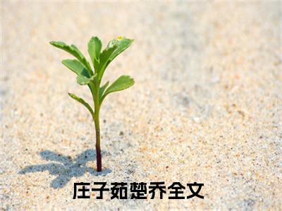 庄子茹楚乔全网首发最新小说-庄子茹楚乔全文在线免费阅读