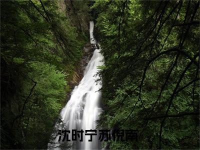 沈时宁苏倪南(沈时宁苏倪南）全文免费阅读无弹窗大结局_(沈时宁苏倪南全文阅读）沈时宁苏倪南最新章节列表_笔趣阁（沈时宁苏倪南）