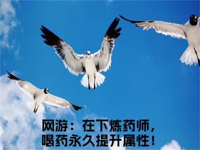 网游：在下炼药师，喝药永久提升属性！夏弈（网游：在下炼药师，喝药永久提升属性！夏弈）全文免费阅读无弹窗大结局_（网游：在下炼药师，喝药永久提升属性！夏弈）网游：在下炼药师，喝药永久提升属性！夏弈免费阅读最新章节列表笔趣阁（网游：在下炼药师，喝药永久提升属性！夏弈）