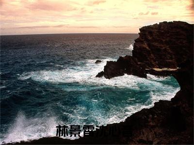 林景霄沈心音（林景霄沈心音）无弹窗小说免费阅读_林景霄沈心音最新章节免费阅读_笔趣阁