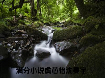 虞芯怡沈晏宇正版阅读小说全文虞芯怡沈晏宇-《虞芯怡沈晏宇》免费小说无广告