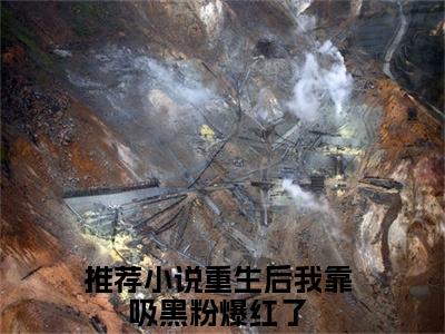 重生后我靠吸黑粉爆红了小说全文无删减-苏允鹿遥重生后我靠吸黑粉爆红了小说大结局免费阅读